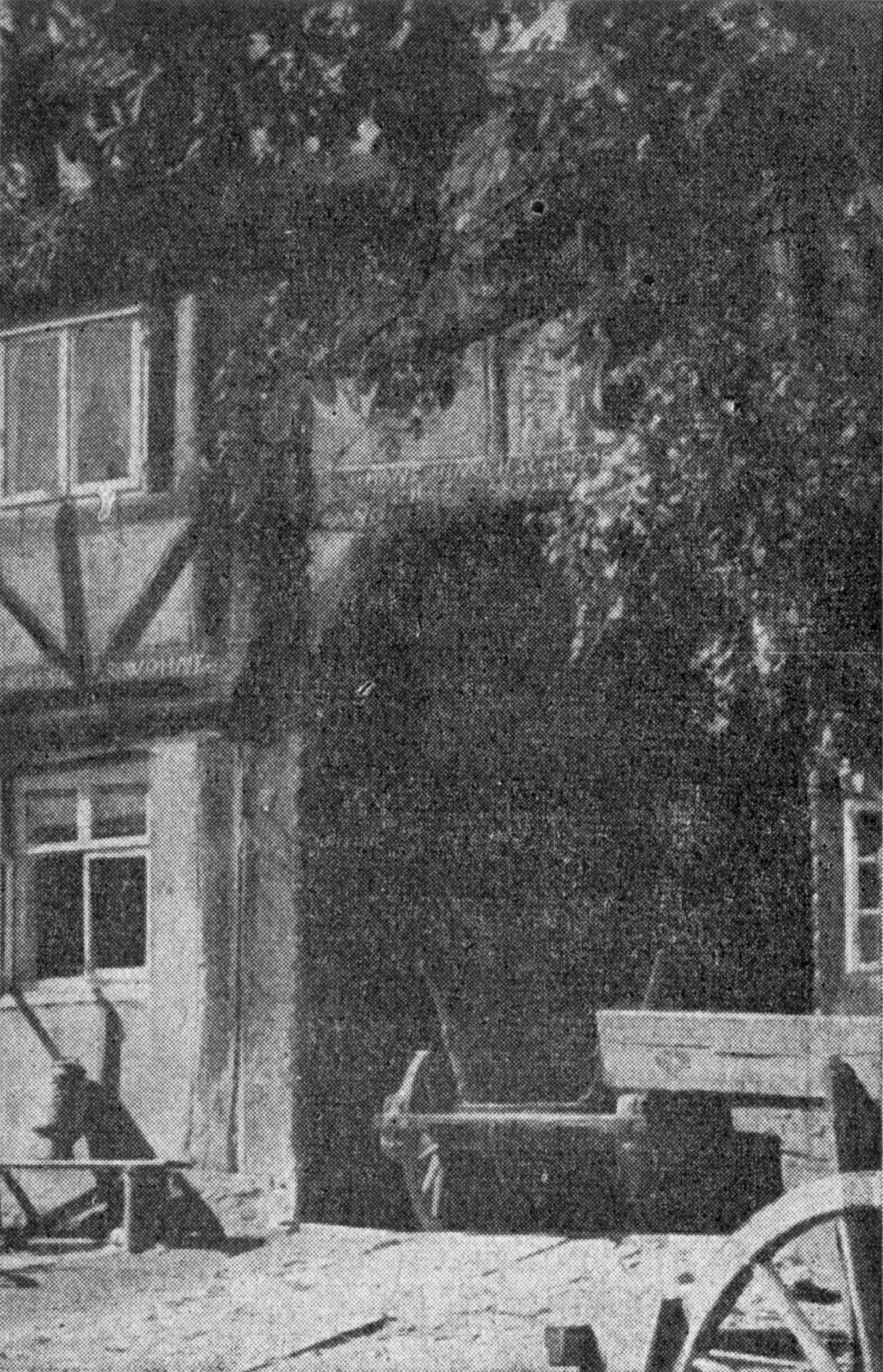 Haus Nr. 75 in der Friedhofstraße in Eschershausen